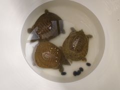 -酒蜻蜓·庭院私房菜(天元东路店)
