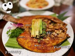 -紫滇源云南生态菜(丹凤街店)