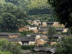 -杨家堂村