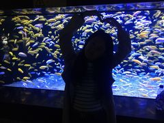 -成都浩海立方海洋公园