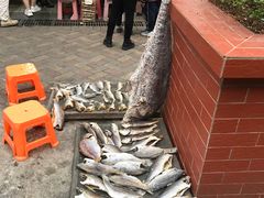 -南沙十九涌渔人码头-南门