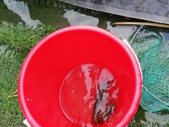 -梁鸿国家湿地公园