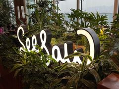 -Seesaw Coffee(朝阳大悦城店)