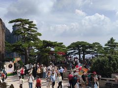 -黄山玉屏楼宾馆餐厅