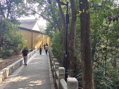 -灵岩山风景区