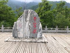 -牛背梁国家森林公园