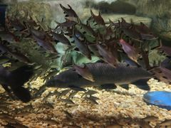 -成都浩海立方海洋公园