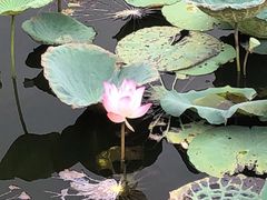 -烟桥私房菜馆(奋哥)