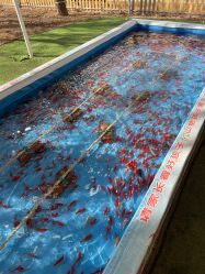 -萌宠亲子动物乐园(槐房万达店)