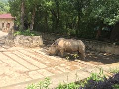 -杭州野生动物世界