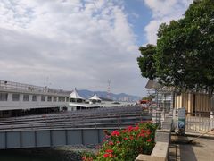 -厦门轮渡码头