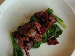 -正佳广场万豪酒店-粤菜餐厅·点心·海鲜·聚餐