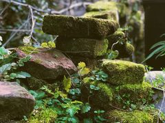 -西溪南古村落景区