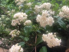 -碓臼峪自然风景区