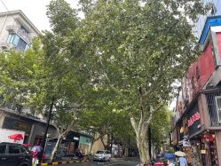 -墨無界刺青TATTOO