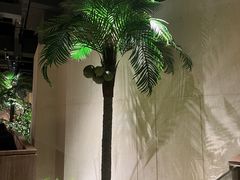 -大头椰·椰子鸡火锅(南宁万象城店)
