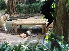 -彩蝶谷美食廊·粤式经典南番顺·铁板烧烤泰风味(广州长隆酒店)