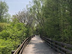 -溱湖国家湿地公园