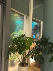 -娇玫荟SPA