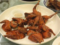 脆皮乳鸽-君来湖滨饭店·渔餐厅
