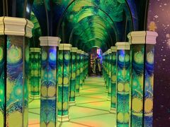 -天津梵高星空艺术馆(天河城旗舰店)