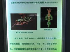 -上海昆虫博物馆