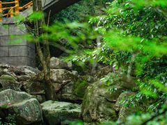 -浙北大峡谷