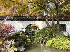 -上海醉白池公园