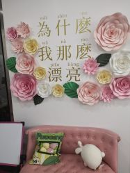 -Lab Season惜辰颜究社