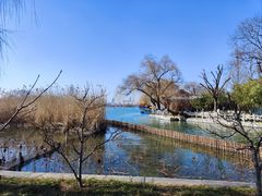 -济南大明湖景区