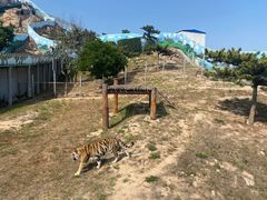 -西霞口神雕山野生动物世界