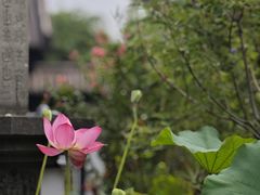 -钱王祠