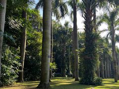 -深圳仙湖植物园