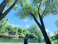 -北坞公园