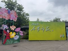 -威海华夏城景区