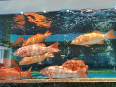 -鹏天阁酒楼·海鲜(红旗店)
