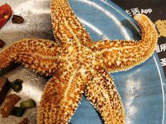 -圣罗巴甄选自助(麦凯乐店)