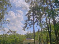 -火炉山森林公园