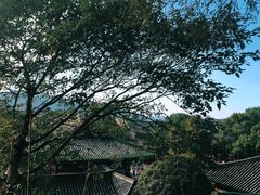-台州府城(江南长城)