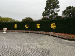 -径山花海