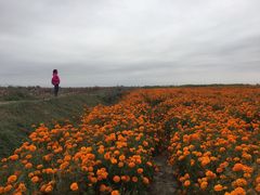 -扁都口生态休闲旅游区