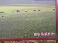 -空中草原