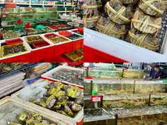 -华威西营里农产品批发市场