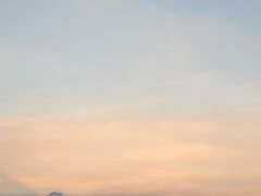 -合肥滨湖国家森林公园