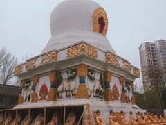 -护国法轮寺