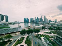 -新加坡文华东方酒店