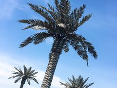 -湖州太湖旅游度假区-月亮广场