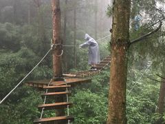 -梦幻奥陶纪景区