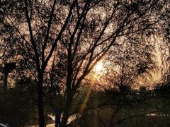 -长白岛森林公园