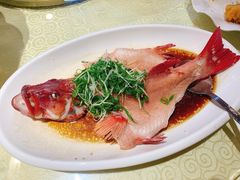 -强记海鲜·大排档(蛇口新街店)